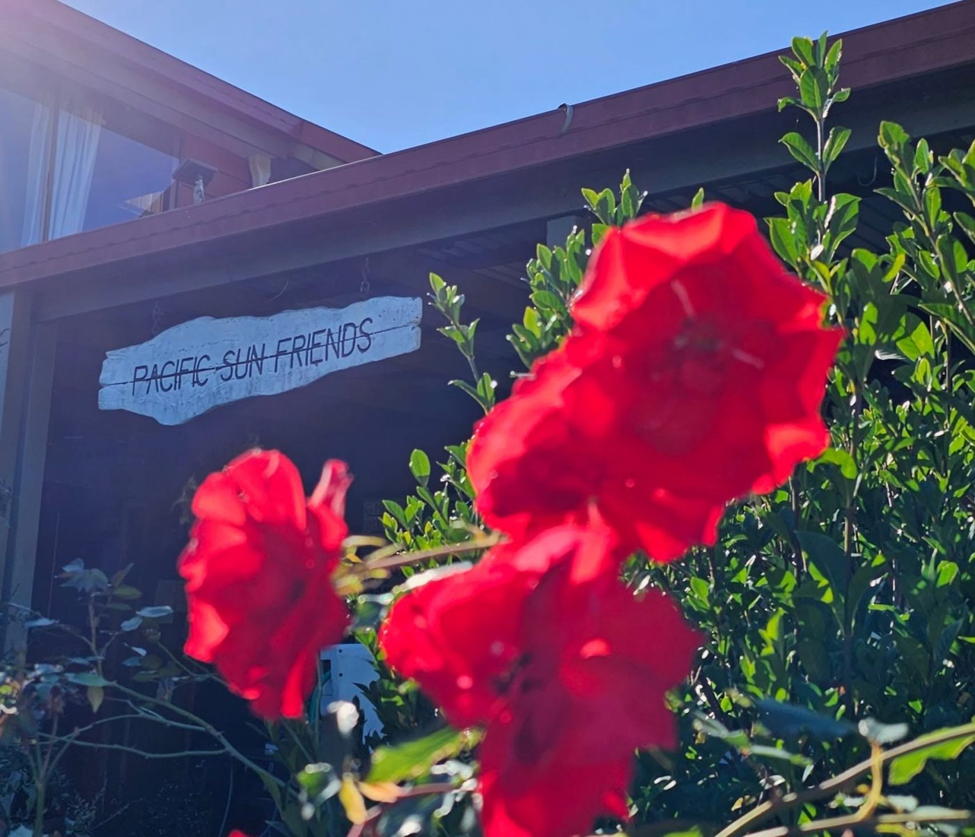 A photograph of the grounds at Pacific Sun Friends